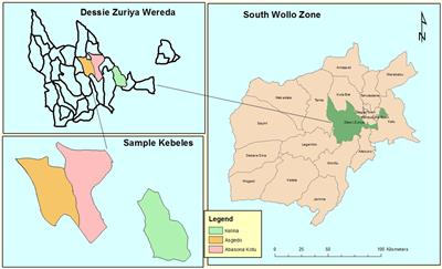 Impact of irrigation participation on households food security in a rural area of Ethiopia: application of propensity score matching (PSM) method for causal inference